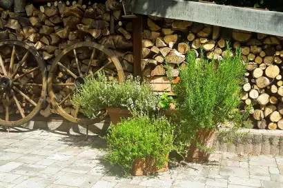 11_haus_elisabeth_krumpendorf_woerthersee_garten