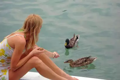 11_haus_elisabeth_krumpendorf_woerthersee_badesteg