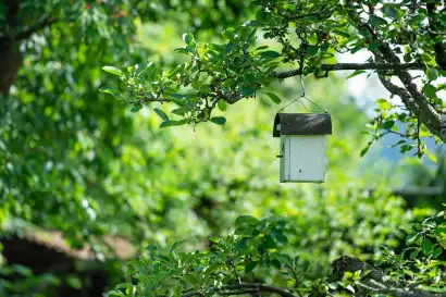 10_haus_elisabeth_krumpendorf_woerthersee_garten