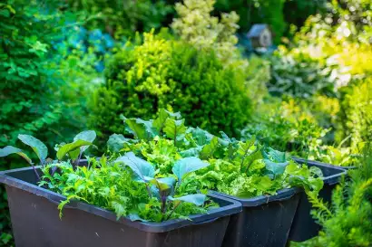 08_haus_elisabeth_krumpendorf_woerthersee_garten